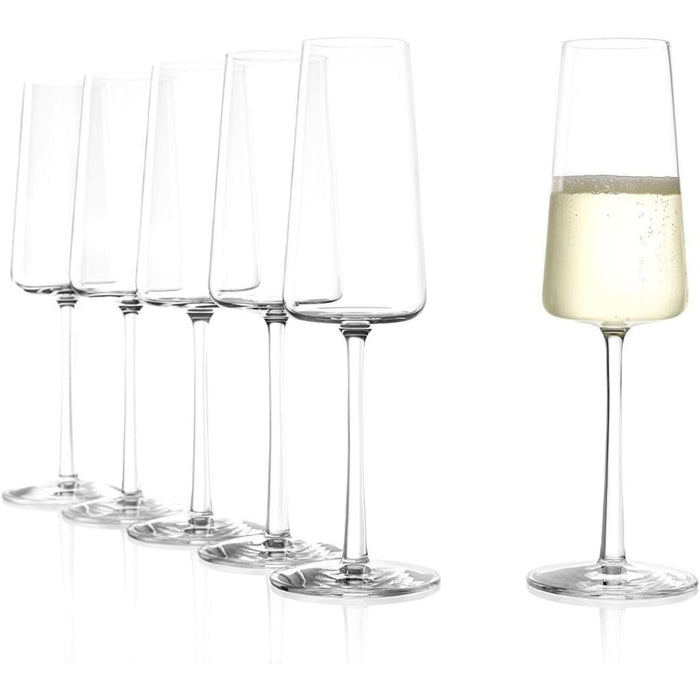 Stölzle Power Champagnerkelch 238 ml - 6er Set