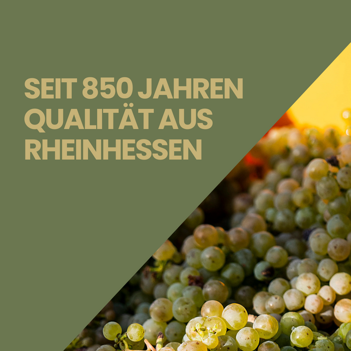 Kloster Eberbach Riesling Classic (6 x 0,75 L)